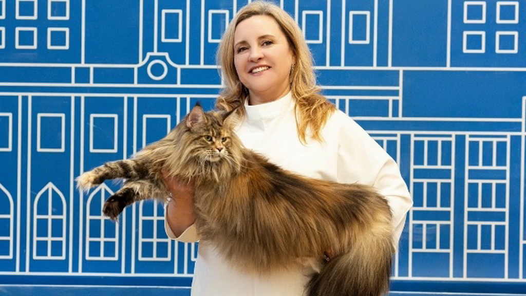 Мастер-класс по грумингу мейн-кунов